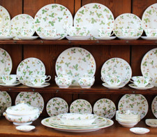 WEDGWOOD WILDE ERDBEERE