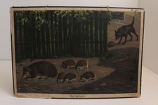 Alte Schulwandtafel Lehrtafel Eine Igelfamilie Stuttgart 1939