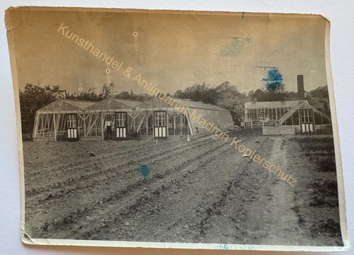 Orig foto garten treibhaus - foto,