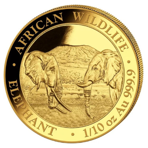 Goldmünze somalia elefant - goldmünze,