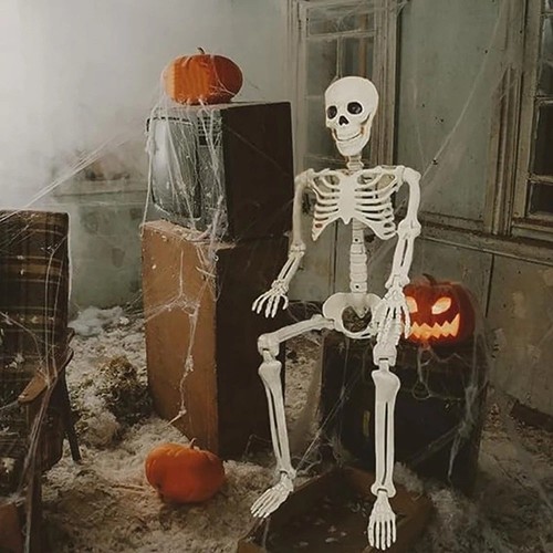 Halloween skelett dekoration - halloween,