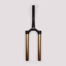 2019 FOX 34 CSU Kashima |