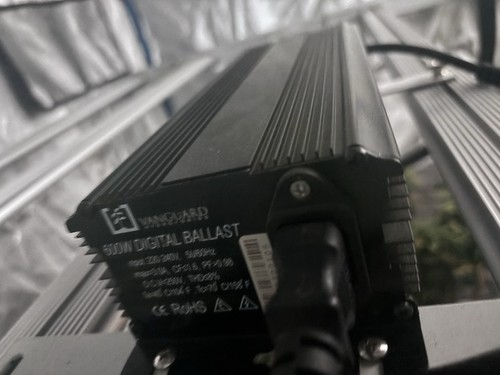 Growlampe 600 watt mit - growlampe,