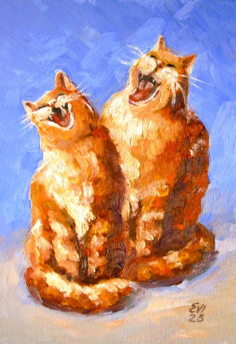 Ingwer katzen original - ingwer,