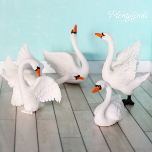 Schwan schwäne vogel tier - schwan,