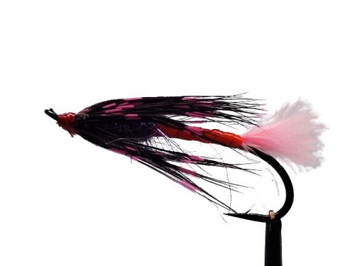 Lachsfliege pink panther - panther, ,