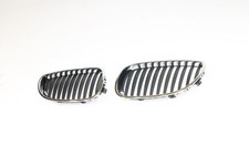 Chrome Grills / Kidneys with