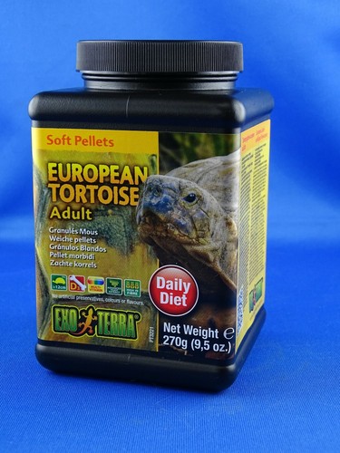 Pt3221 european tortoise adult - pt3221,