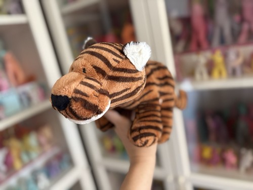 Nici tiger wild friends - wild,