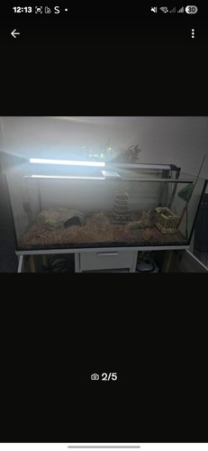 Aquarium 300l mit - 300l,