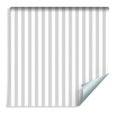 10m VLIES TAPETE Rolle