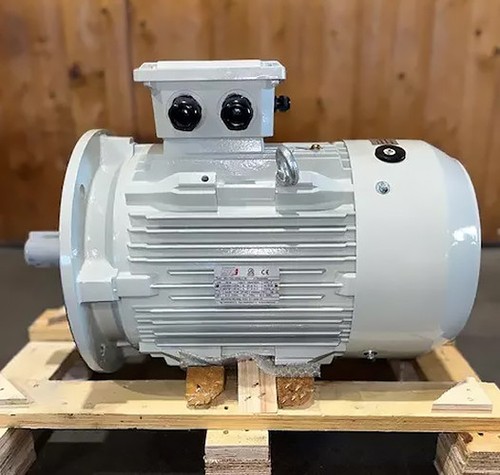 Elektromotor 2 polig - elektromotor, 15