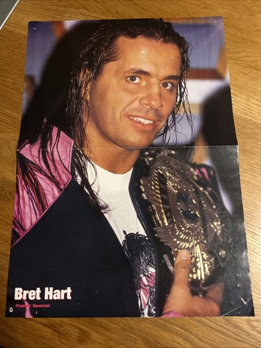 Wwf wwe doppel poster bret - doppel-poster,