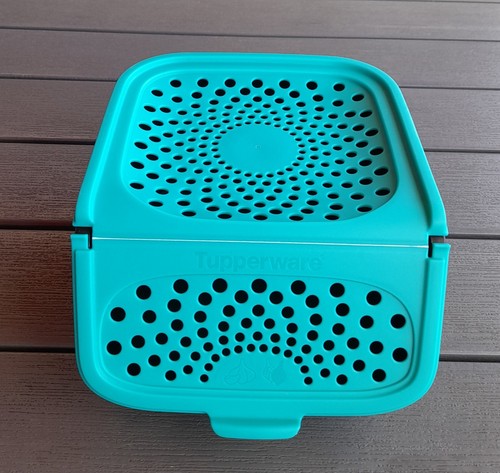 Tupperware zwiebel - tupperware,