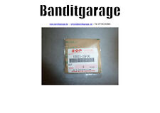 Feder Steuerkettenspanner