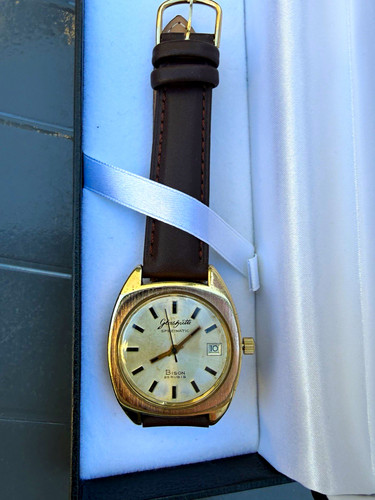 Glashütte spezimatic bison - spezimatic,