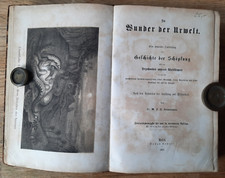b10.  ZIMMERMANN..der erdball 3..wunder der urwelt..Hldr..1876..gut 