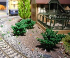 50 dunkelgrüne Büsche