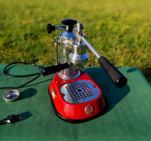 Pavoni europiccola - la,