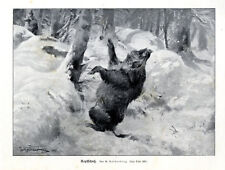 Wilhelm Buddenberg Kopfschuß Jagdliche Grafik /Druck um 1927