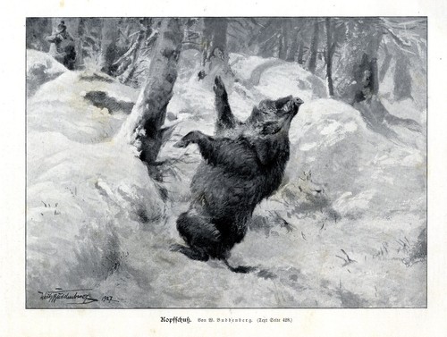 Wilhelm buddenberg kopfschuß - buddenberg,