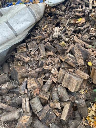 Brenn feuerholz 50 pro - brenn-/feuerholz,