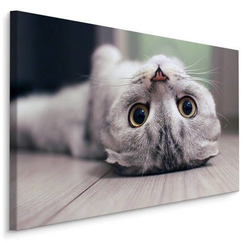 Canvas leinwand bilder xxl - bilder,