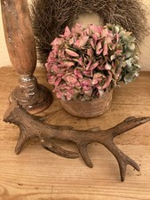 Geweih aus Polyresin