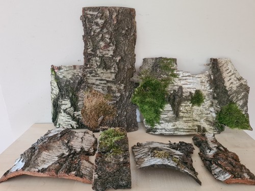 Birkenrinde rinde natur holz - birkenrinde,
