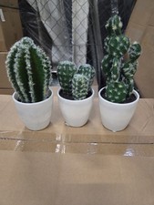 3er Set Kakteen ca. 15-20cm
