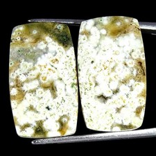 19.00Cts Natürlich Ozean