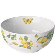 Schale mit zitronen - zitronen, &