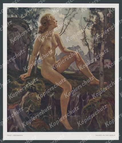 Ernst liebermann najade - ernst,