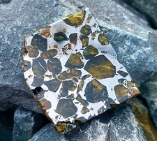 Meteorit Seymchan Scheibe poliert / Meteorite Slice