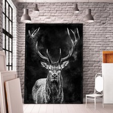 ACRYLGLAS WANDBILD GLASBILD HIRSCH NATUR KUNST BILDER TIER ABSTRAKT POSTER 
