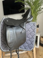 Kieffer lech profi - lech,