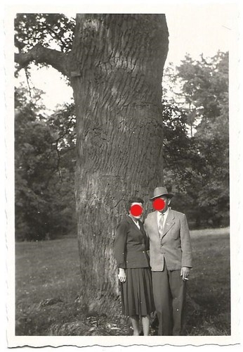 105 203 foto aus fotoalbum - 105/203,