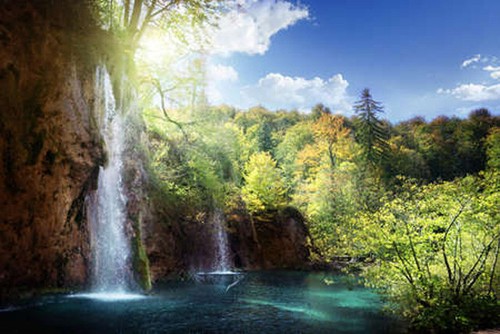 Wandbild wasserfall wald - wandbild:,