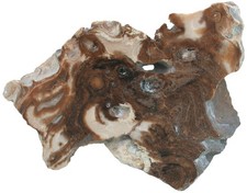 Silur Seltene Onkolithen