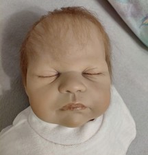 Sigikid reborn - sigikid,