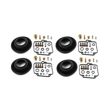 Vergaser-Reparatursatz