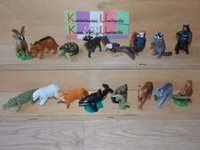 Natoons North Amerika  D 2021