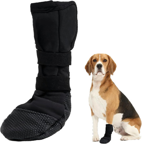 Hundesocken pfotenschutz hund - hundesocken,pfotenschutz,