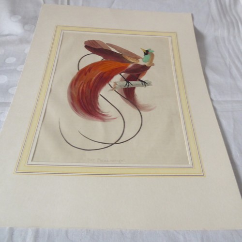 Antik lithographie der - antik,
