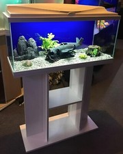 Großes Aquarium & Ständer