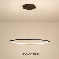 LED Pendelleuchte Ring-Design