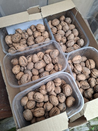 450g walnüsse mit schale - 450g, bio