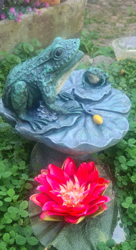 Frosch teichfigur wasserspiel - frosch,