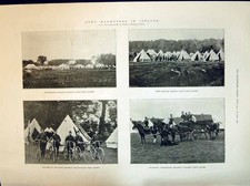 Druck 1894 Armee Irland