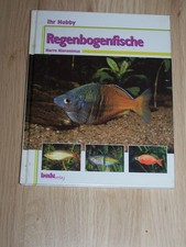 Regenbogenfische -  Aquaristik